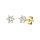 Ohrstecker in 14ct.Gelbgold/Diamanten Gesamt 0,50 ct. inkl. Zertifikat
